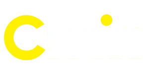 cwin 333